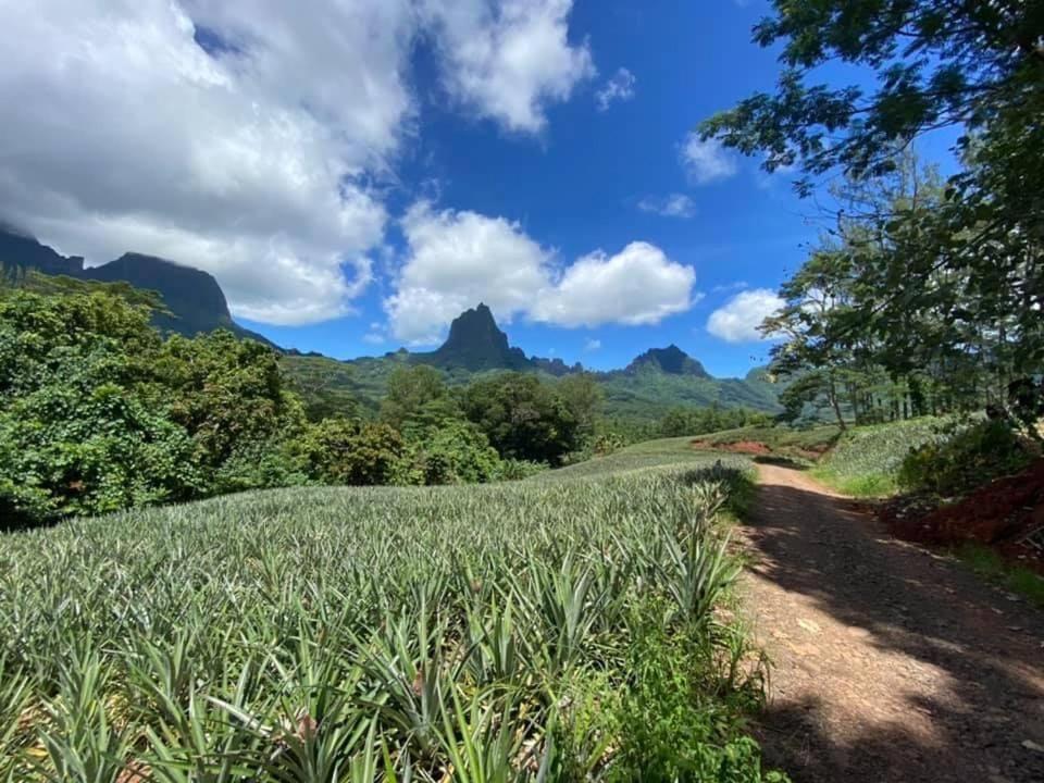 Beach De Reve De Moorea Hauru Buitenkant foto